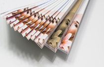 Papiermusterfächer für den Digitaldruck: Edle und besondere Papiere