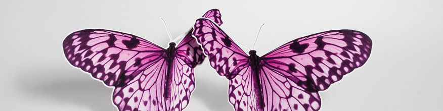 Schmetterlinge, Digitaldruck und Laserstanzung