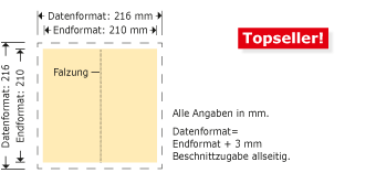 Flyer, gefalzt, DIN lang hoch, Top-Seller Produktskizze