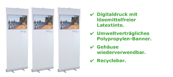 RollUp 1 Detailansicht